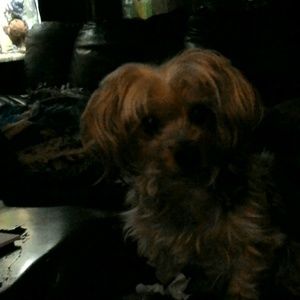 Meet your Posher, Toni